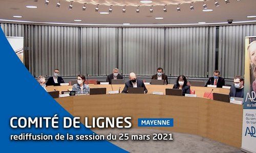 Comité de lignes Mayenne [rediffusion du live du 25 mars 2021]