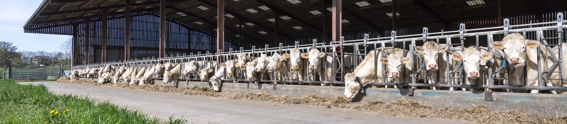 Ferme Les Etablières