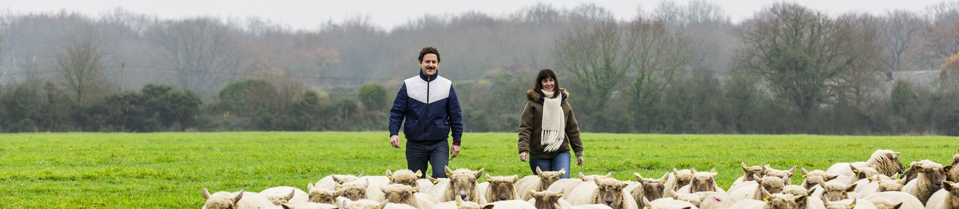 Un homme et une femme éleveurs de moutons dans un champs avec leurs bêtes