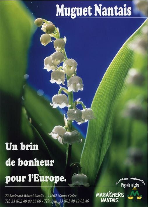 Plaquette de présentation du groupement professionnel des Maraîchers nantais réalisés à l’occasion de la Floriade (salon d’horticulture des Pays-Bas) en 2002.
