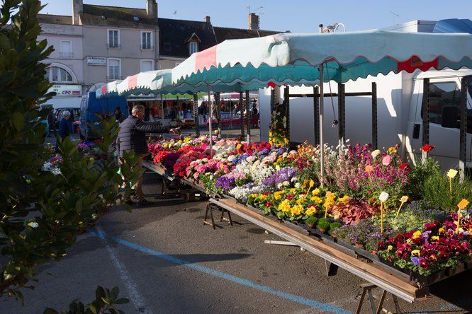 Stand de vente de fleurs sur un marché 