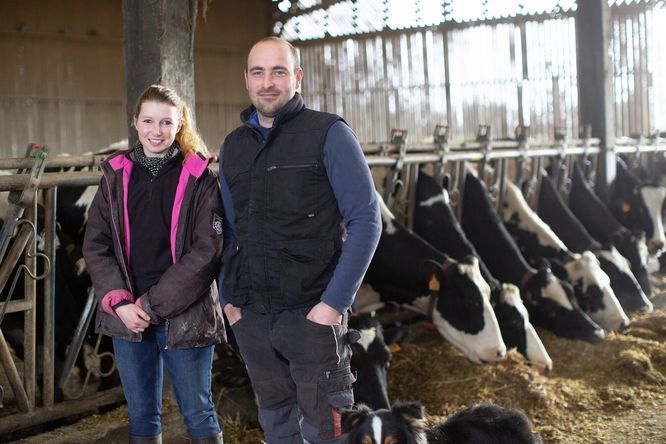 Un homme et une femme éleveurs qui posent devant leurs vaches à l'intérieur d'un bâtiment agricole