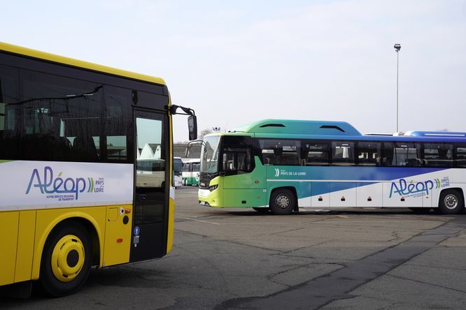 Un car scolaire et un car interurbain aux couleurs d'ALEOP, marque de transport régionale
