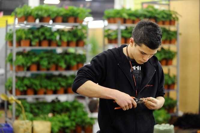 jeune homme fleuriste au travail avec une pince dans la main droite et végétal dans la main gauche