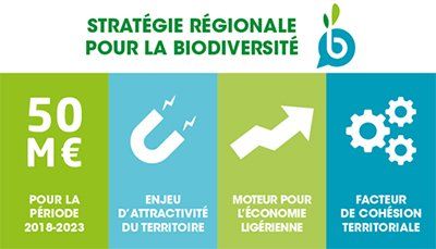 stratégie régionale pour la diversité : 50 M€ pour 2018-2023, enjeu d'attractivité du territoire, moteur pour l'économie ligérienne, facteur de cohésion territoriale