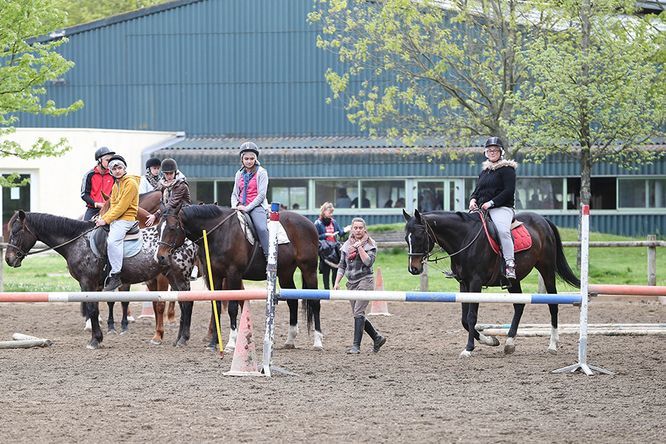 chevaux et jeunes cavaliers au travail en extérieur