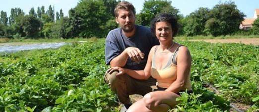 Sandra et Matthieu Gilbert, maraîchers bio dans leur champ