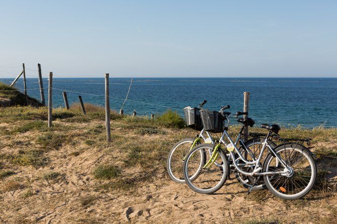 Vue sur deux vélos en bord de mer 