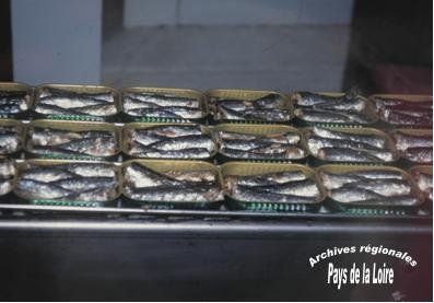 Saint-Gilles-Croix-de-Vie, sardines en boîte.