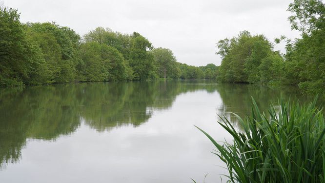 Vue sur un plan d'eau dans une réserve naturelle