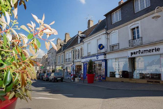 Agrandissement de l'image