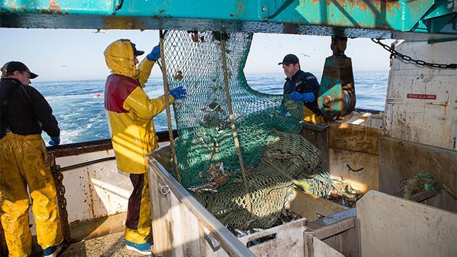 Trois marins pêcheurs à bord d'un bateau, avec filet de pêche