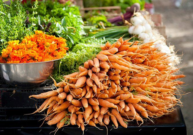 photos de légumes carottes salades oignons nouveaux 