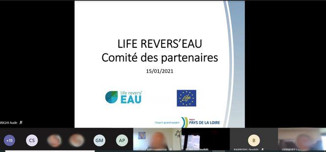 Ecran partagé d'une réunion avec titre : Life Revers'eau, Comité des partenaires 15.01.2021. En dessous, le logo de Life Revers'eau et celui du programme européen Life, ainsi que le logo Pays de la Loire.
