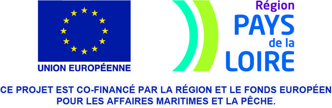 Logo de cofinancement avec le logoe de la région et le logo du Fonds européen pour les affaires maritimes et la pêche