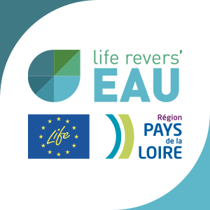 Logo Lifereverseau