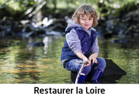 Préserver et restaurer la Loire