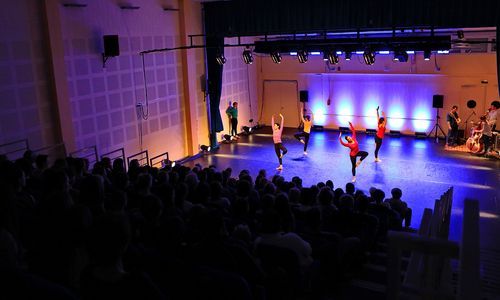 Plan large d'un spectacle avec public et scène où se produisent des artistes