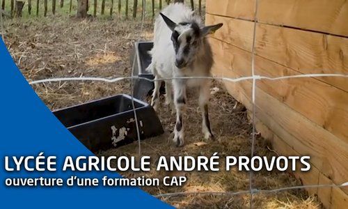 Visite du lycée agricole André Provots à Brette-les-Pins (72)
