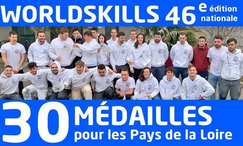 Finales nationales des Worldskills : une moisson de 30médailles pour les jeunes des Pays de la Loire