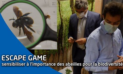 Un escape game pour sensibiliser à l’importance des abeilles sur la biodiversité