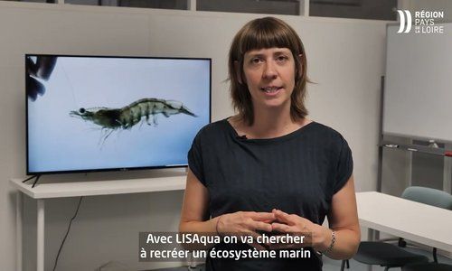Europe : Découvrez Lisaqua, ferme aquacole produisant des gambas sans antibiotique ni rejet polluant