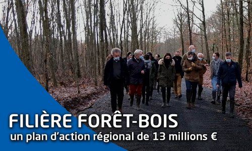 Filière forêt-bois : « le but de la Région des Pays de la Loire est d'enclencher les choses »