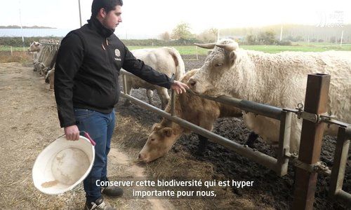 Interview de Valentin Butet, agriculteur installé à Épieds (49)