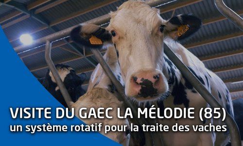 GAEC La Mélodie (85) : une subvention de la Région pour une machine à traite rotative