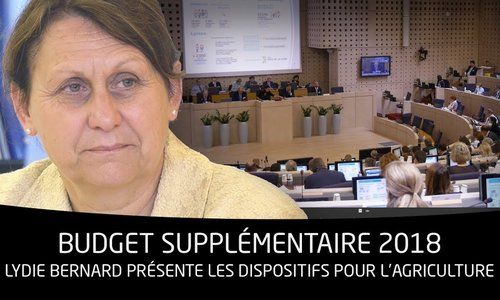 Session du budget supplémentaire 2018 - agriculture