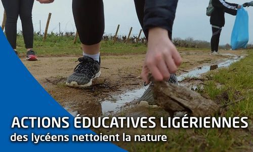 AEL : une randonnée écocitoyenne organisée par le lycée Europe Robert Schuman de Cholet