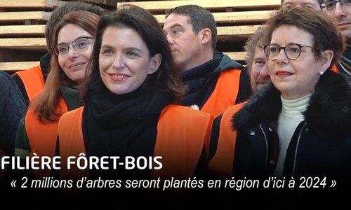 Christelle Morançais annonce la plantation de 2 millions d'arbres en région des Pays de la Loire