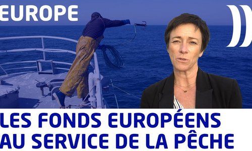 FEAMPA : Découvrez comment l'Union Européenne aide les pêcheurs en Loire-Atlantique