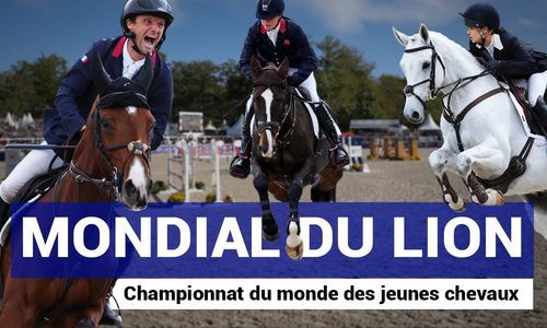 Mondial du Lion 2022 : le championnat du monde des jeunes chevaux