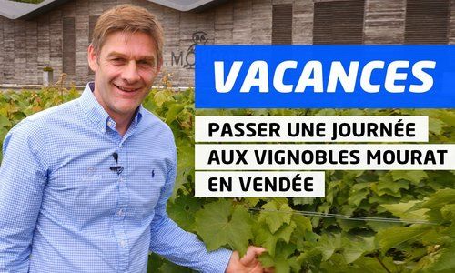 Œnotourisme : découvrez les Vignobles Mourat à Mareuil-sur-Lay-Dissais en Vendée