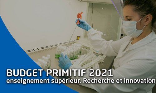 Budget primitif 2021 : la Région adopte sa Stratégie régionale ESRI  2021-2027