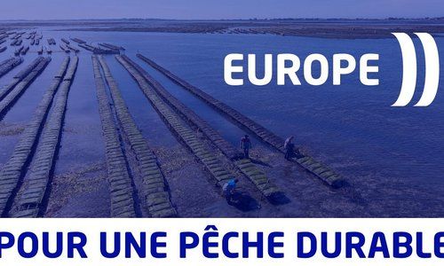 FEAMPA : Les aides européennes pour soutenir la pêche et l'aquaculture en Pays de la Loire