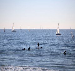 mer avec voiliers, paddle, surfeurs, baigneurs