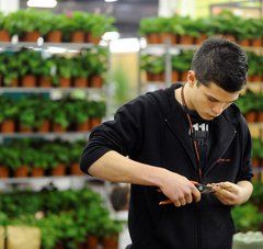 jeune homme fleuriste au travail avec une pince dans la main droite et végétal dans la main gauche