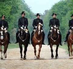 5 cavaliers du cadre noir alignés sur leurs chevaux sur un chemin boisé