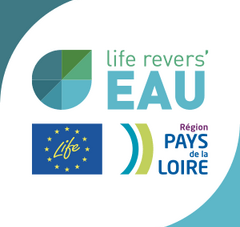 Logo Lifereverseau