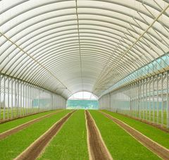 Agriculture : la Région veut débloquer les projets