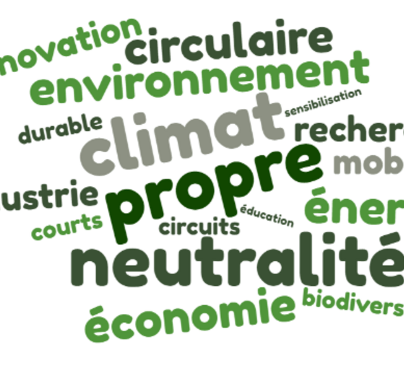 Nuage de mots Green Deal : innovation, circulaire, environnement, durable, climat, sensibilisation, recherche, mobilité, industrie, propre, courts, circuits, éducation, énergie, neutralité, économie, biodiversité