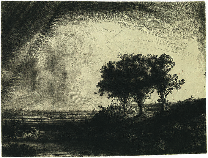 Rembrandt Tita Huile De Peinture Blanc Titane 150,8 Ml