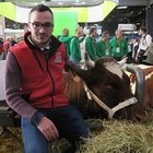 Salon agriculture Antoine Ménard en cours d’installation en GAEC au Fief-Sauvin (49), avec une vache