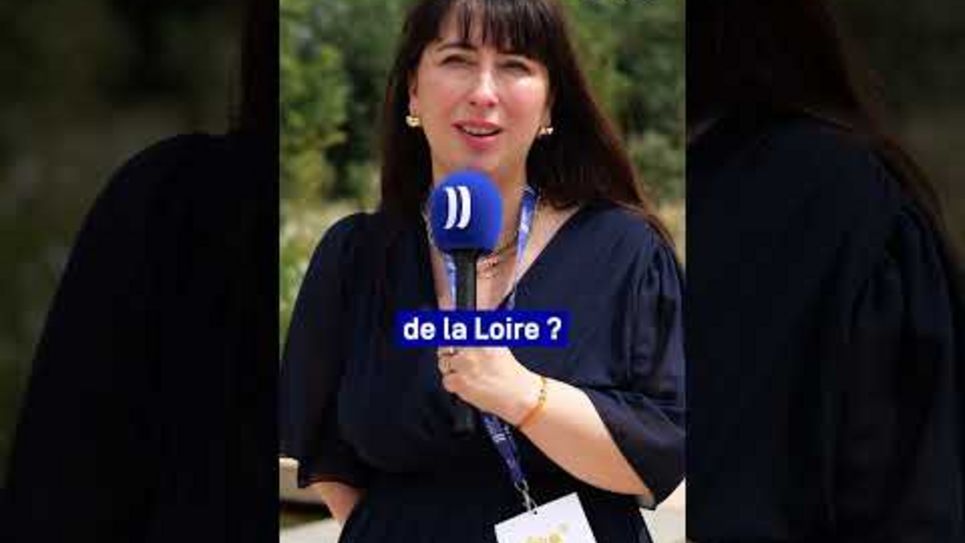 Vidéo